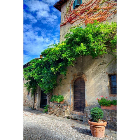 Italy-Tuscany Courtyard of an agriturismo near the hill town of Montalcino Black Modern Wood Framed Art Print by Eggers, Julie