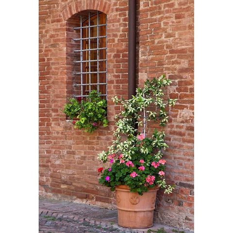 Italy-Tuscany-Crete Senesi-Asciano Street scene with potted flowers Black Modern Wood Framed Art Print by Eggers, Julie