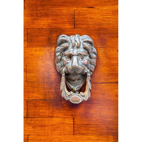 Italy-Venice-Burano Island Closeup of a lion head door knocker on a wooden door White Modern Wood Framed Art Print by Eggers, Julie