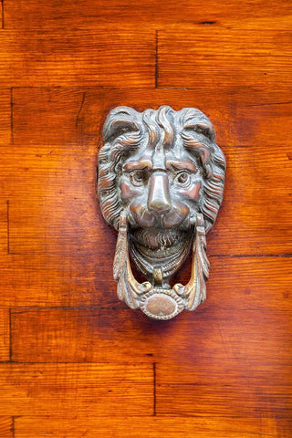 Italy-Venice-Burano Island Closeup of a lion head door knocker on a wooden door White Modern Wood Framed Art Print with Double Matting by Eggers, Julie