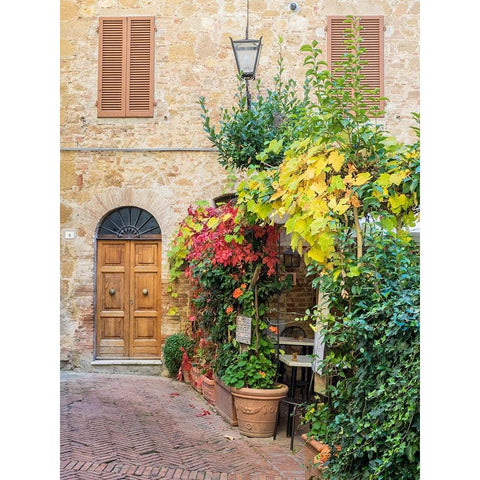 Italy-Tuscany-Pienza Doorway surrounded by flowers White Modern Wood Framed Art Print by Eggers, Julie
