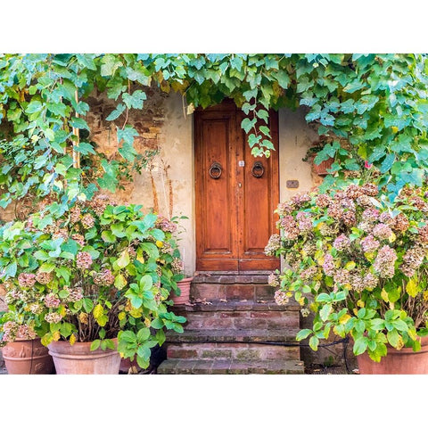 Italy-Tuscany-Pienza Doorway surrounded by flowers Gold Ornate Wood Framed Art Print with Double Matting by Eggers, Julie