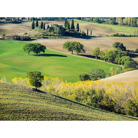 Italy-Tuscany Tuscan landscape Black Modern Wood Framed Art Print by Eggers, Julie