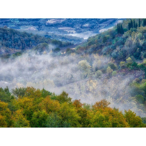 Italy-Tuscany Autumn morning with fog in the Tuscan valley Black Modern Wood Framed Art Print by Eggers, Julie