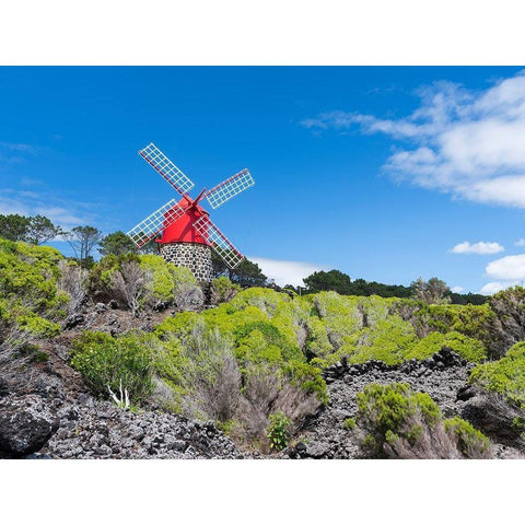 Traditional windmill near Sao Joao Pico Island-an island in the Azores in the Atlantic Ocean  Black Modern Wood Framed Art Print by Zwick, Martin