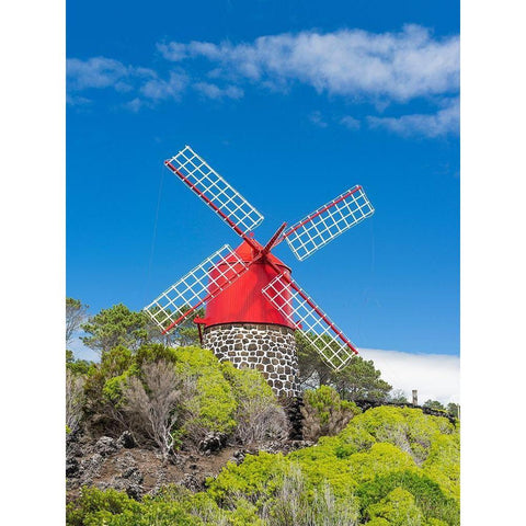 Traditional windmill near Sao Joao Pico Island-an island in the Azores in the Atlantic Ocean  Black Modern Wood Framed Art Print by Zwick, Martin