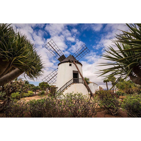 Canary Islands-Fuerteventura Island-Antigua-traditional island windmill Black Modern Wood Framed Art Print by Bibikow, Walter