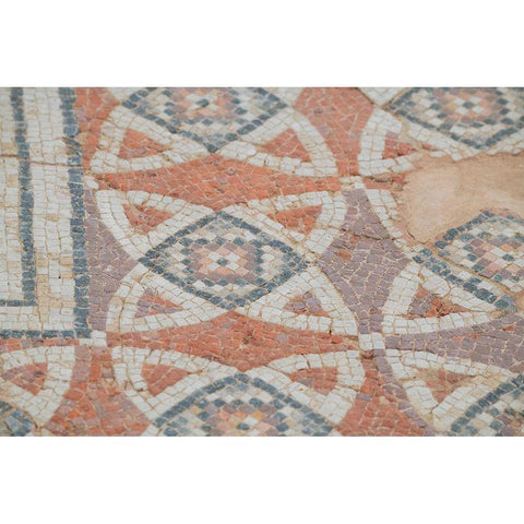 Cyprus-Roman archaeological site of Kourion Detail of ancient mosaic floor Gold Ornate Wood Framed Art Print with Double Matting by Hopkins, Cindy Miller
