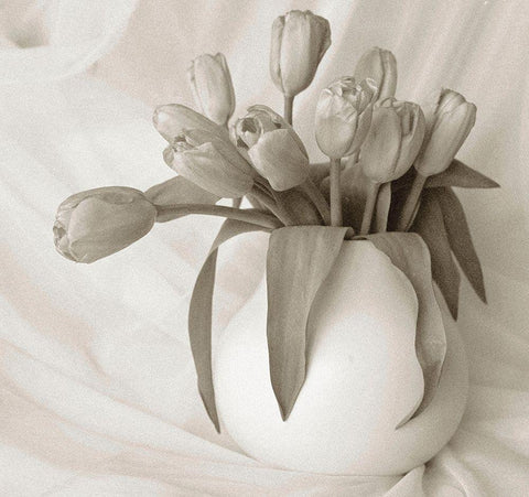 Sepia tone Tulips Black Ornate Wood Framed Art Print with Double Matting by Miller, Anna