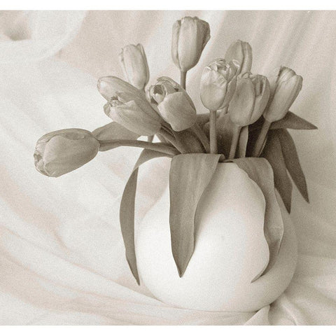 Sepia tone Tulips Gold Ornate Wood Framed Art Print with Double Matting by Miller, Anna