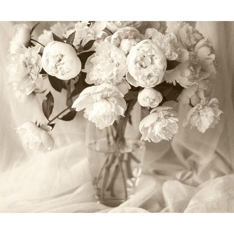 Sepia tone Peony White Modern Wood Framed Art Print by Miller, Anna