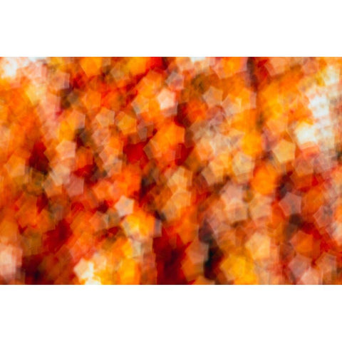Colorful fabric detail Gold Ornate Wood Framed Art Print with Double Matting by Muench, Zandria