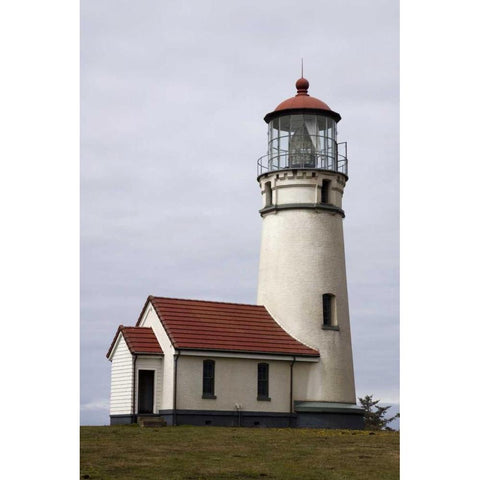 OR, Cape Blanco Oldest standing lighthouse Black Modern Wood Framed Art Print by Kaveney, Wendy