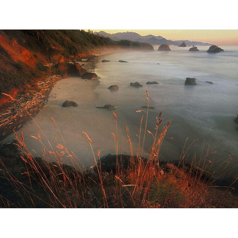 Cannon beach on the Pacific coast of Oregon Black Modern Wood Framed Art Print with Double Matting by SMO