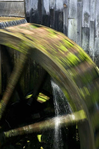 TN, Cades Cove Grist mill water wheel in motion White Modern Wood Framed Art Print with Double Matting by Kaveney, Wendy