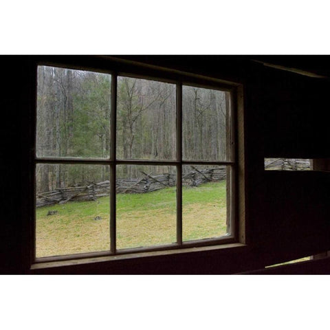 TN, Great Smoky Mts Jim Bales abandoned cabin White Modern Wood Framed Art Print by Kaveney, Wendy