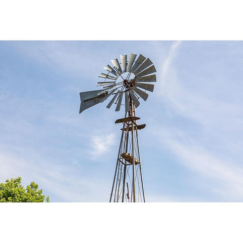 Castroville-Texas-USA-Windmill in the Texas Hill Country Gold Ornate Wood Framed Art Print with Double Matting by Wilson, Emily M.