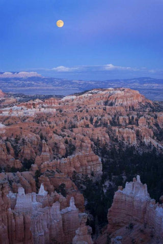 Utah, Bryce Canyon NP Moonrise over Sunset Point White Modern Wood Framed Art Print with Double Matting by Kaveney, Wendy