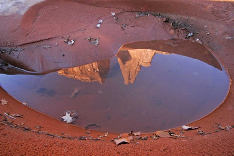 UT, Arches NP Rain puddle reflections White Modern Wood Framed Art Print with Double Matting by Illg, Cathy and Gordon