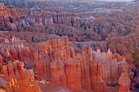 Utah, Bryce Canyon NP Sunrise at Sunset Point White Modern Wood Framed Art Print with Double Matting by Illg, Cathy and Gordon