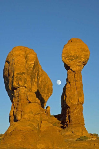 UT, Arches NP Moonrise over Garden of Eden White Modern Wood Framed Art Print with Double Matting by Illg, Cathy and Gordon