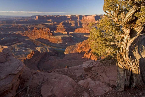 Utah, Dead Horse Point SP Sunrise on the park White Modern Wood Framed Art Print with Double Matting by Illg, Cathy and Gordon