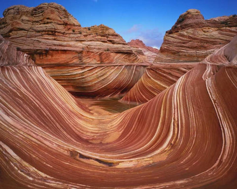 Utah, Paria Canyon The Wave formation, sandstone White Modern Wood Framed Art Print with Double Matting by Flaherty, Dennis