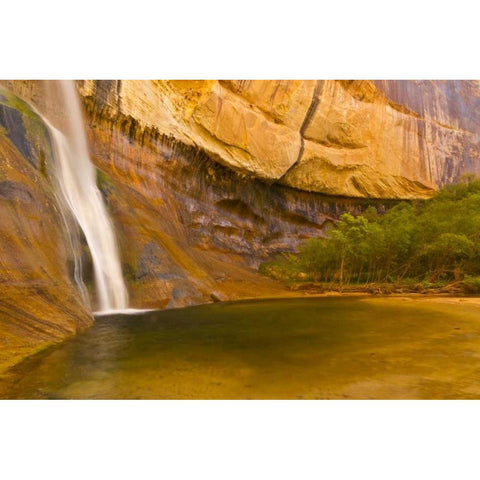 UT, Lower Calf Creek Falls Waterfall into pool Gold Ornate Wood Framed Art Print with Double Matting by Illg, Cathy and Gordon