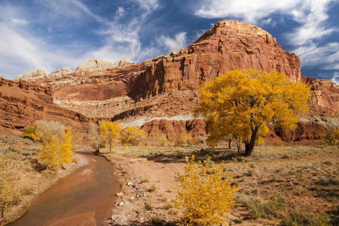 Utah, Capitol Reef Creek and autumn landscape White Modern Wood Framed Art Print with Double Matting by Illg, Cathy and Gordon