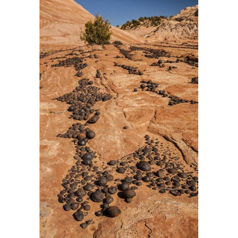 UT, Grand Staircase Escalante NM Moki marbles White Modern Wood Framed Art Print by Illg, Cathy and Gordon