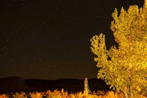 USA, Utah Stary night sky in autumn White Modern Wood Framed Art Print with Double Matting by Illg, Cathy and Gordon