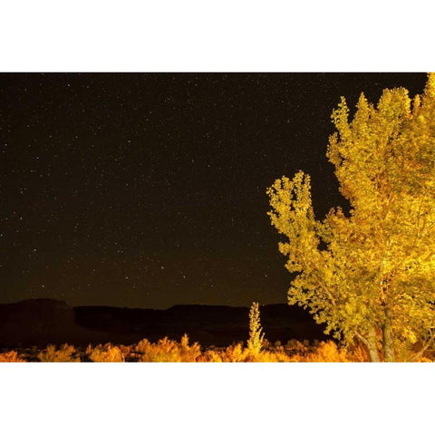 USA, Utah Stary night sky in autumn Gold Ornate Wood Framed Art Print with Double Matting by Illg, Cathy and Gordon