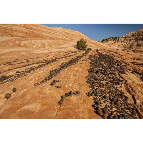 UT, Grand Staircase Escalante NM Moki marbles White Modern Wood Framed Art Print by Illg, Cathy and Gordon