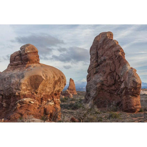 Utah, Arches NP Scenic of sandstone boulders Gold Ornate Wood Framed Art Print with Double Matting by Illg, Cathy and Gordon