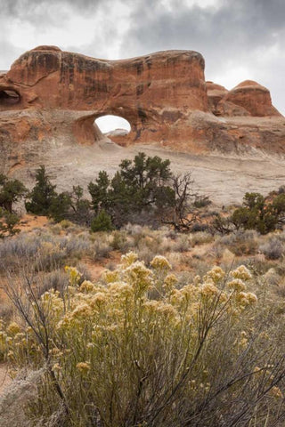USA, Utah, Arches NP Scenic of Tunnel Arch White Modern Wood Framed Art Print with Double Matting by Illg, Cathy and Gordon