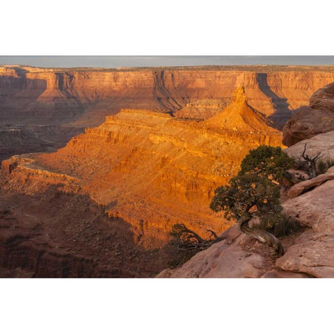 Utah, Dead Horse Point SP Sunrise on canyon Gold Ornate Wood Framed Art Print with Double Matting by Illg, Cathy and Gordon