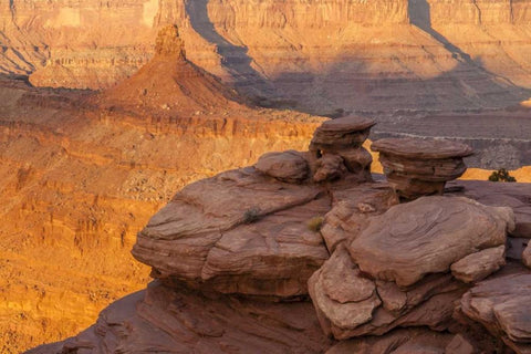 Utah, Dead Horse Point SP Sunrise on canyon Black Ornate Wood Framed Art Print with Double Matting by Illg, Cathy and Gordon