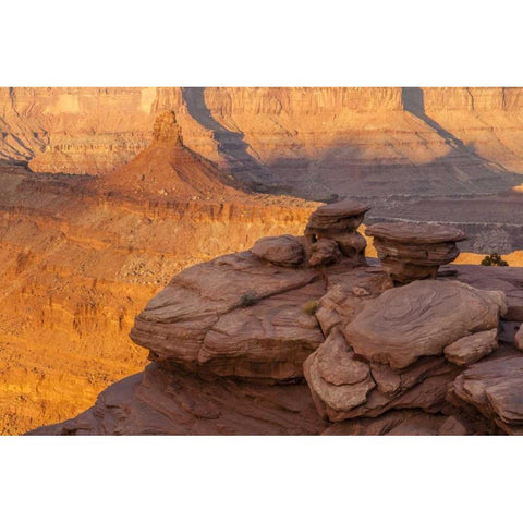 Utah, Dead Horse Point SP Sunrise on canyon Gold Ornate Wood Framed Art Print with Double Matting by Illg, Cathy and Gordon