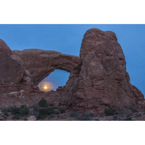 UT, Arches NP South Window arch and full moon Gold Ornate Wood Framed Art Print with Double Matting by Illg, Cathy and Gordon