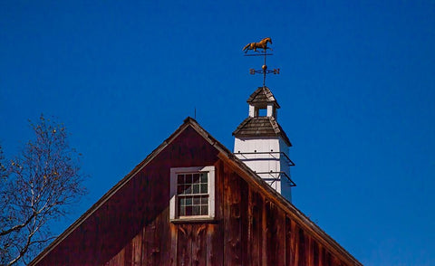 USA-New England-Vermont weather vane on top of wooden barn topped with horse Black Ornate Wood Framed Art Print with Double Matting by Gulin, Sylvia