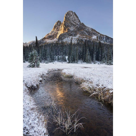 Fresh autumn snow on Liberty Bell Mountain and meadows of Washington State Pass Black Modern Wood Framed Art Print by Majchrowicz, Alan