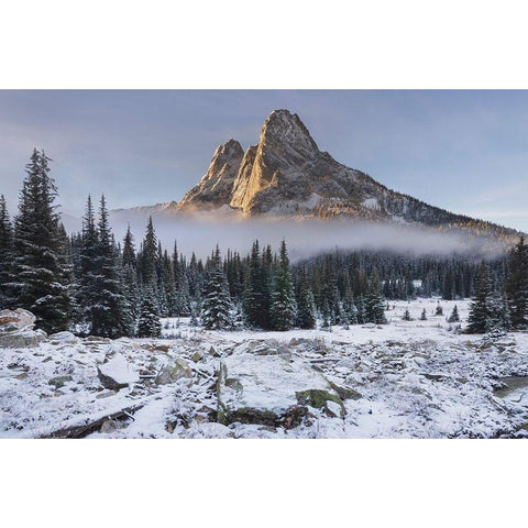 Fresh autumn snow on Liberty Bell Mountain and meadows of Washington State Pass Black Modern Wood Framed Art Print with Double Matting by Majchrowicz, Alan