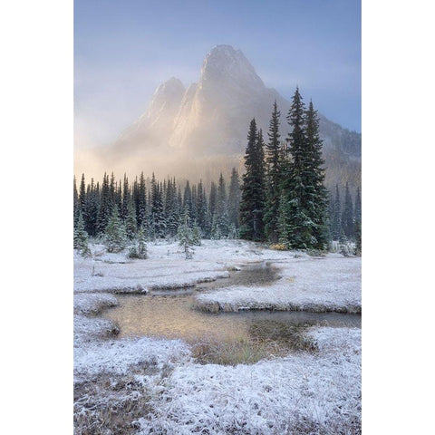 Fresh autumn snow on Liberty Bell Mountain and meadows of Washington State Pass White Modern Wood Framed Art Print by Majchrowicz, Alan