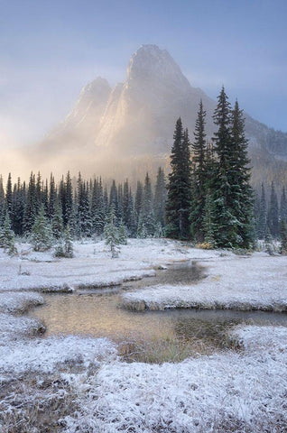 Fresh autumn snow on Liberty Bell Mountain and meadows of Washington State Pass White Modern Wood Framed Art Print with Double Matting by Majchrowicz, Alan