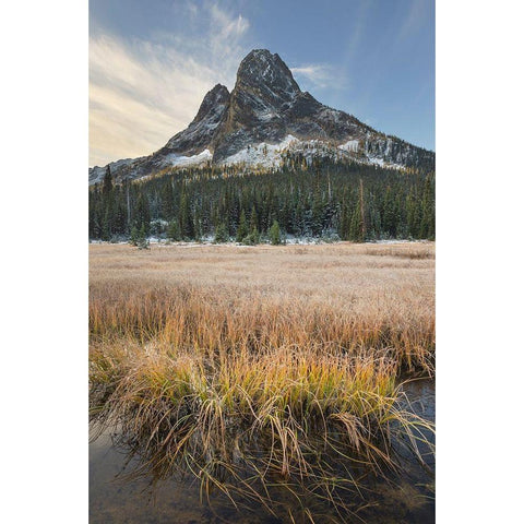 Liberty Bell Mountain and meadows of Washington State Pass North Cascades-Washington State Black Modern Wood Framed Art Print by Majchrowicz, Alan