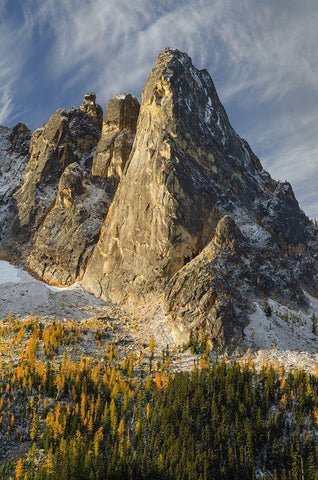 Liberty Bell Mountain Early Winters Spires-and golden autumn Larches White Modern Wood Framed Art Print with Double Matting by Majchrowicz, Alan