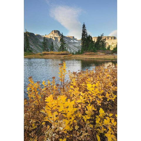 Heather Meadows in autumn Table Mountain is in the distance Black Modern Wood Framed Art Print with Double Matting by Majchrowicz, Alan