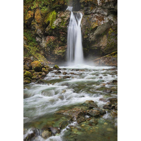 Lazy Bear Falls-Mount Baker-Snoqualmie National Forest-North Cascades-Washington State White Modern Wood Framed Art Print by Majchrowicz, Alan