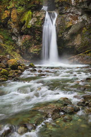Lazy Bear Falls-Mount Baker-Snoqualmie National Forest-North Cascades-Washington State White Modern Wood Framed Art Print with Double Matting by Majchrowicz, Alan