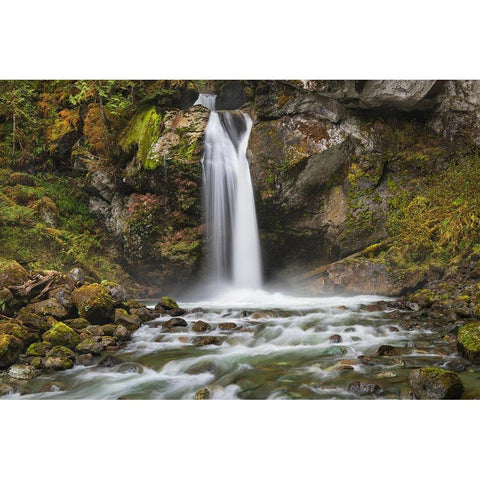 Lazy Bear Falls-Mount Baker-Snoqualmie National Forest-North Cascades-Washington State Black Modern Wood Framed Art Print with Double Matting by Majchrowicz, Alan